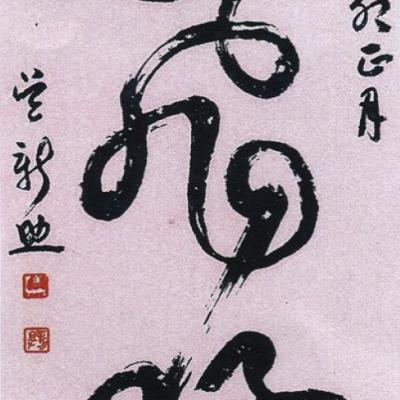 W006 35x135cm