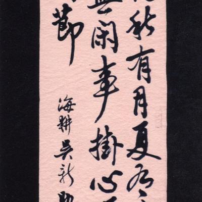 W017 23x100cm