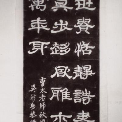W021 60x160cm